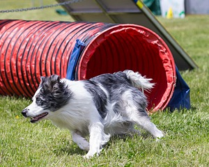 20160514-NEAT-0682.jpg