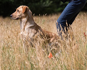 RUFF Millheim