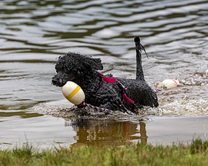 "Tango" & Cathy