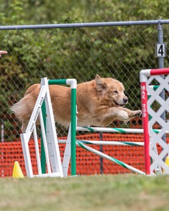 20200819-1328.jpg