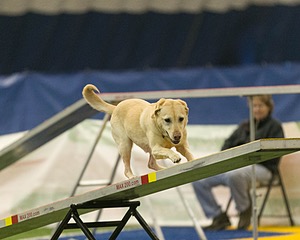 20150321-LEAP-0921.jpg
