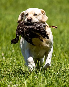 20220605-FINL-1564.jpg