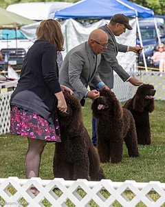 20220615-SW-0197.jpg