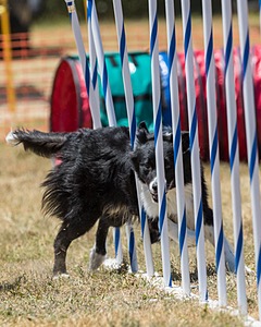 20160618-CCKC-1577.jpg