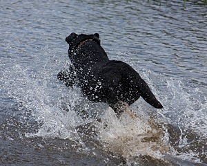 20080601-SRW-0154.jpg