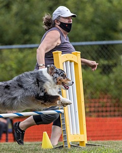 20200819-1145.jpg