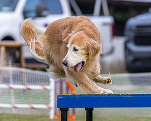 20230917-PVKC-2801.jpg