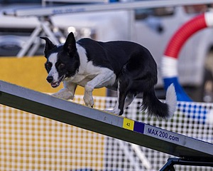 20230916-PVKC-1748.jpg