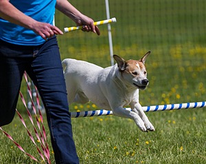 20170521-NEAT-0354.jpg