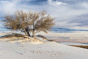 White Sands National Monument, New Mexico