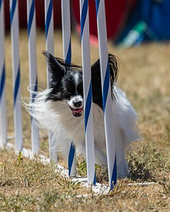 20160618-CCKC-1866.jpg