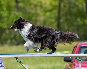 20170520-NEAT-1534.jpg