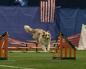 20150321-LEAP-0776.jpg