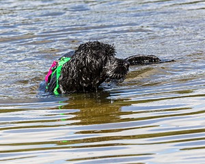 20170820-CWD-0027.jpg