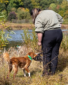 Merlot Quackenbush
