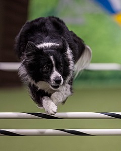 Breeze Schunk