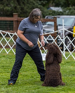 2801 - FINNIBONE'S CUZ MAMA CAN RE DS DJA CGC TKN VHMA (Mamma Cass)
