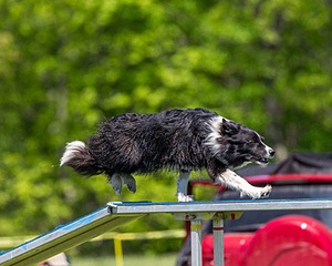 20170520-NEAT-1141.jpg