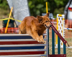 20160619-CCKC-1374.jpg