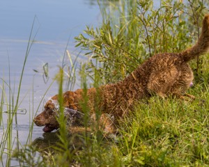 Toby Popp