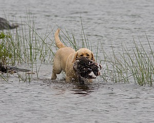 20080531-HRW-0447.jpg