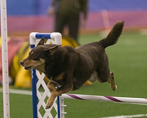 20150321-LEAP-0364.jpg