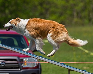 20170520-NEAT-1493.jpg