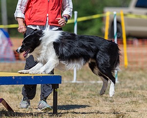 20160619-CCKC-1339.jpg
