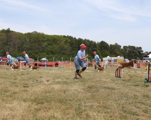20150612-CCKCMC-0043.jpg