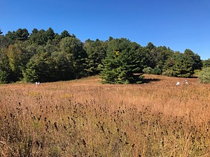 20191005-C-0007.jpg