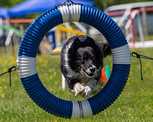 20170520-NEAT-1465.jpg