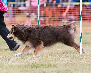 20150612-CCKC-0054.jpg