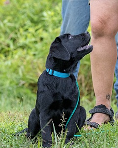 20180804-C-0014.jpg