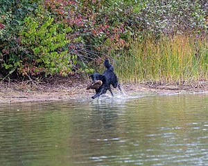 20161008-WCW-0021.jpg
