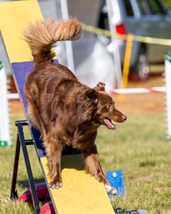 20180617-0224.jpg