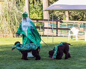 20220828-CC-0008.jpg