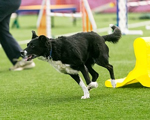 20150322-LEAP-0395.jpg