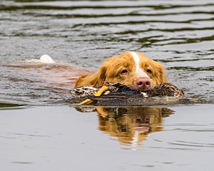 Maxine (Max) Patterson