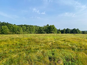 IMG_4321.jpg