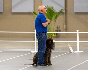 700 - GCH Blackthorn’s Lass That Loves A Sailor in Wicklow CD RM CGC