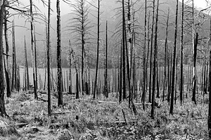 Glacier National Park