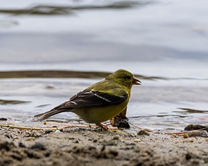 20260830-C-0025.jpg