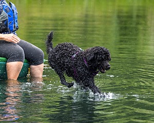 Xena Zussman