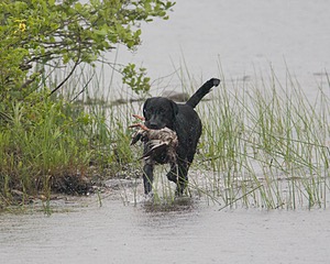 20080531-HRW-1157.jpg