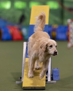 20260221-0617.jpg