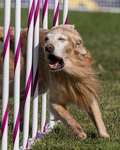 20230916-PVKC-1367.jpg