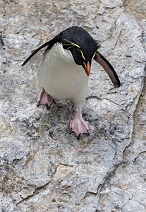 20191214-0274.jpg