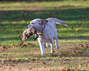 20131027-WCL-0008.jpg