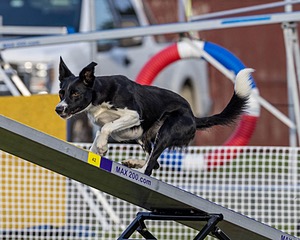 20230916-PVKC-1706.jpg