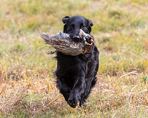 20161008-WCL-0018.jpg